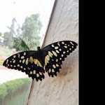 @jakob_marshall5 - Instagram