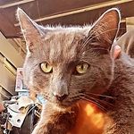 Jakob Marshall - @jakob_marshall4021 - Instagram