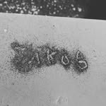 jakob morales - @jacobmoralesrivera - Instagram