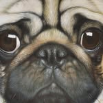 Jakob Orr - @jakoborr - Instagram