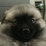 Jakob Reed - @jakobreed4296 - Instagram