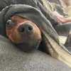 _jakobrivera - @_jakobrivera - TikTok