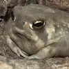Jakob Stephens - @jakob.stephens - TikTok