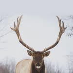 Jakob stevens - @jakob_stevens101 - Instagram