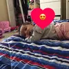 jalaahharris - @jalaahharris - TikTok