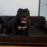 jaleel Williams - @smileyking_best - Instagram
