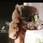 jalil johnson - @j831big - Instagram