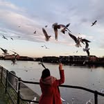 Jalila Ali - @jalila_bh - Instagram