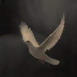 Canım abim Ali’nin hatırasına… - @abiminhatirasi - Instagram