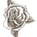 🌵 - @jalisa_leee - Instagram