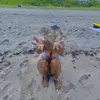 Ja’lona Wright - @jalona.wright - TikTok
