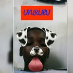 Jamaal manning - @jamaalmanning11 - Instagram