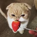 @jamaalnelson12 - Instagram