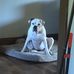 Jamal Blackwell - Facebook