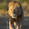Jamal Cole - @jamal.cole01 - TikTok
