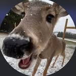 Jamal Cole J - @goofynibba.ye - Instagram