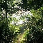 Jamal Daniels - @randrace - Instagram
