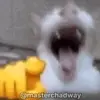 Jamal Davidson - @jamal.davidson4 - TikTok