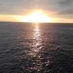 Jamal Davies - @jamal.davies.1276 - Instagram