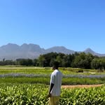 Jamal Deen - @jah_mhal_dheen - Instagram