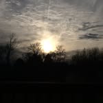 Jamal Dickson - @dickson.jamal - Instagram