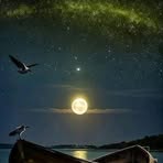 Jamal Daif - Facebook