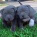Walter Jamal Epps - Facebook