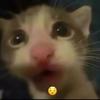 jamal - @jamal.farmer69 - TikTok