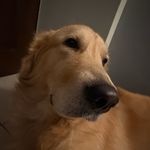 Nishant.manglaniJi - @oldfarmerjamal - Instagram