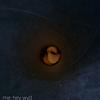 alltheye - @jamalfields4 - TikTok