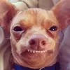 Jamal Fraser88 - @user01306679 - TikTok