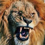 Jamal Fraser - Facebook