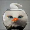 JAMAL_GABRIEL_ - @jamal_gabriel_ - TikTok