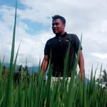 amal gayo - @jamalgayo523 - Instagram