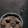jamalgonzalez479 - @jamalgonzalez15 - TikTok