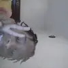 Jamal Grant - @jamal.grant6 - TikTok
