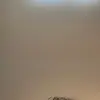 Jamal money - @jamal.moneyguy - TikTok