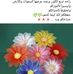 Jamal Habib - Facebook