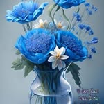 jamal halabia - @jamalhalabia - Instagram