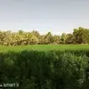 Jamal Hamadi - @jamal.hamadi0 - TikTok