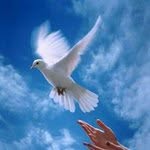 Jamal Hamadi - @jamalhamadi829 - Instagram