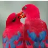 Jamal Hamed - @jamal.hamed72 - TikTok