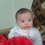 Jamal Hamed - @jamal.hamed - Instagram