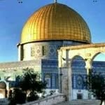 @jamal_hammoud.1 - Instagram