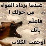 Jamal Hammoud - @jamal2236 - Instagram