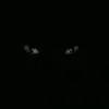 𝒋𝒂𝒎𝒂𝒍 𝒉𝒂𝒎𝒎𝒐𝒖𝒅 - @jamal38447 - TikTok