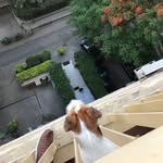 Jamal Hammoud - @instantjamal - Instagram