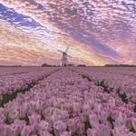 Jamal Hammoud - @jamal.hammoud.7509 - Instagram
