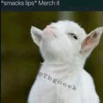 Jamal Harrison - @jamalrsh._ - Instagram