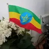 Hayatt Jamal - @hayatt.jamal - TikTok